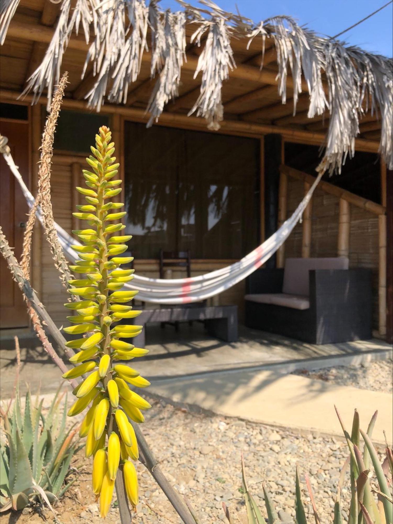 Hotel Wayra Lobitos Exterior foto